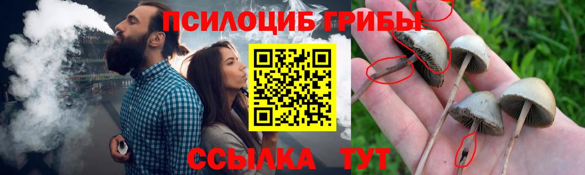 Псилоцибиновые грибы ЛСД Якутск